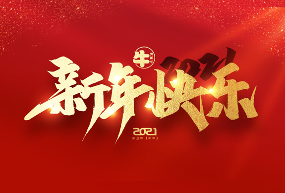 麗水市威儀自動(dòng)化技術(shù)有限公司祝全國人民2021年新年快樂！