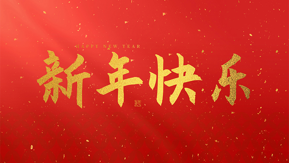 麗水市威儀自動(dòng)化技術(shù)有限公司祝全國(guó)人民2025新年快樂(lè)！